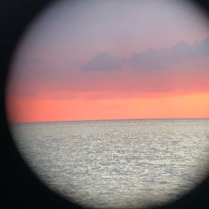 Meet your Posher, Lydia